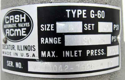 NEW CASH ACME G-60 PRESSURE RELIEF VALVE G60 1/2" 30PSI G60