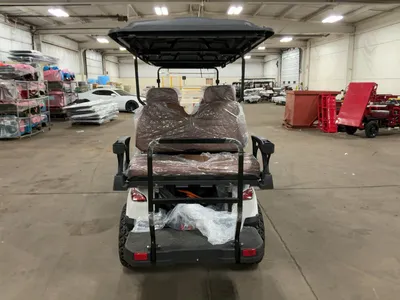 Used 2026 SDLANCH HQ100 Golf Carts Michigan US | Miedema Asset Management Group #1477052