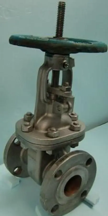 QTY. 1. FNW GATE VALVE TYPE: GATE BODY: CF8M SIZE:...