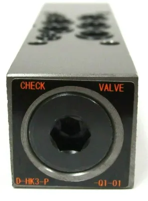 NEW D-HK3-P-Q1-01 CHECK VALVE DHK3PQ101