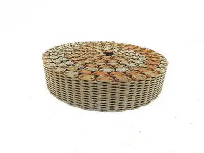 Ramsey RPV306 Silent Chain 3/8" Pitch 320 Pitches 10' Long *READ*