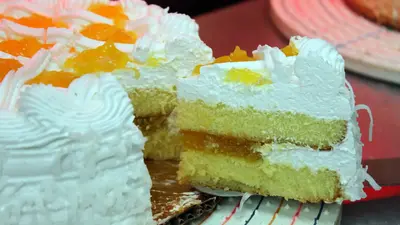 KRUMBEIN | TKSM Vertical Cake & Pastry Slicer
