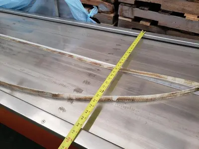 BEI 13' Berry Conveyor