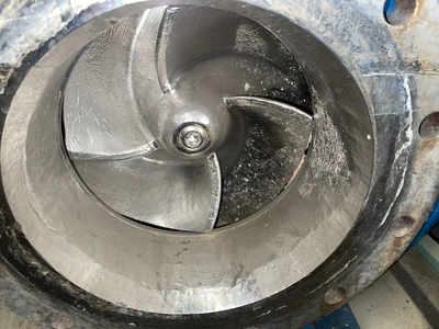 USED Goulds 3175