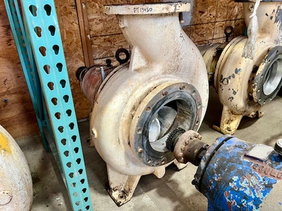 USED Goulds 3175