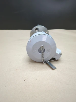 NEW HAYASHI DENKO Pt100-A-2-M