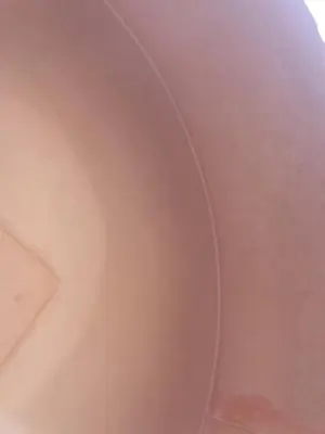 Cherry Burrell 40" diameter canvas coating pan