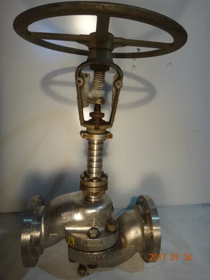 Annin 4", Class 300, 316SS, Control Valve