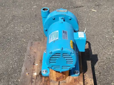 USED PACO PUMPS 10-10707-13000-11601