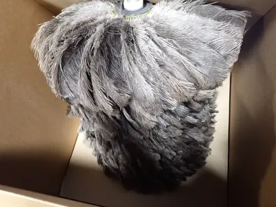 Autotac Inc Left Upper Feather Rollerright Lower Feather Roller