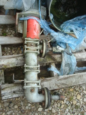 65 Lpm M/S Mono Merlin Pump Cdb1ag1r3