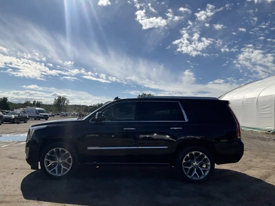 Used 2017 CADILLAC ESCALADE SUVs Michigan US | Miedema Asset Management Group #1461304