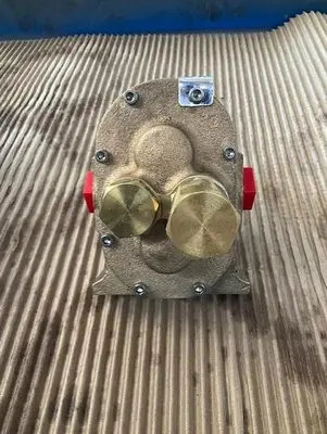 Dayton 1” Rotary Gear Pump PN 6NY84