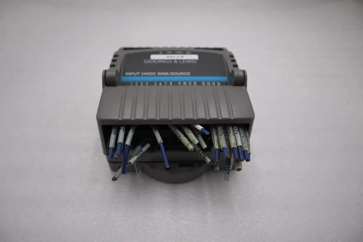 Giddings & Lewis M.1300.7372 R1 Input Module 24VDC SINK/SOURCE STOCK 5169A