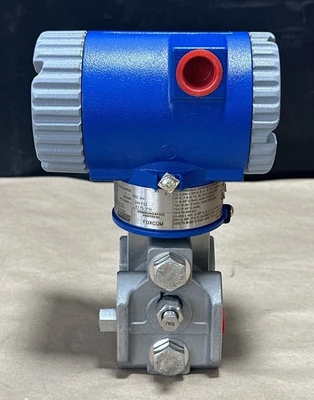 NEW Foxboro IGP20-D22D21F-M2L1B1V