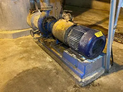 USED GOULDS 3196