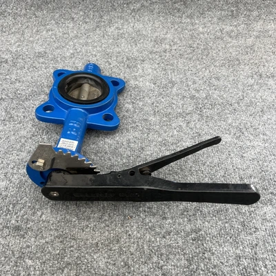 New | in-Stock WHEATLEY BFV-025L Pump & Valve Parts California US | Davliegogo LLC #1706931