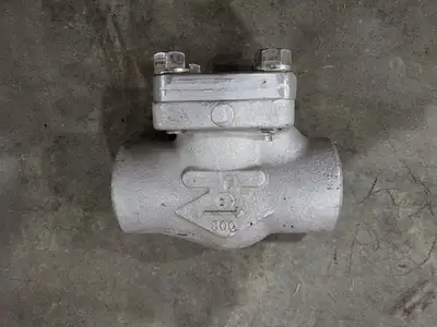2" Class 800 Piston Check Valve API 602