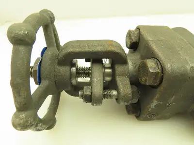 DSI 4101A5-18 Steel 1" NPT Threaded x Socket Gate Valve 1990 PSI #800  LOT OF 2