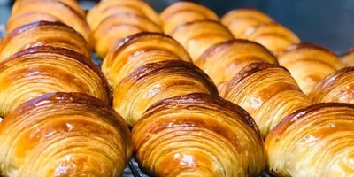 pietro Berto MD/CS Electric Deck Ovens | Harvest Equipment and Fabrication Inc (16)