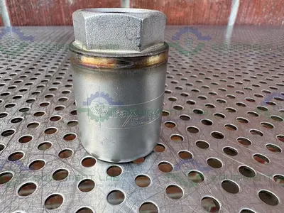 NEW SPIRAX SARCO DF1 STAINLESS STEEL TRAP DIFFUSER W/ 3/4" FITTING