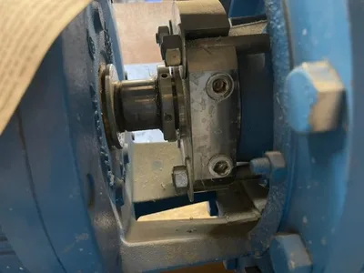 USED Goulds CV3196