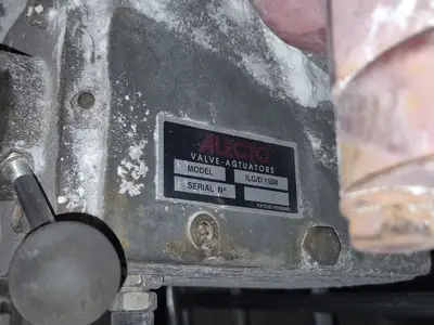 USED ROTORK P-250-10-DA
