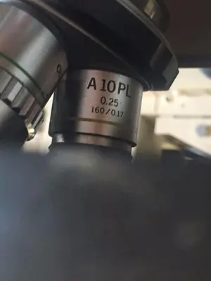 Olympus IMT-2 Binocular Microscope