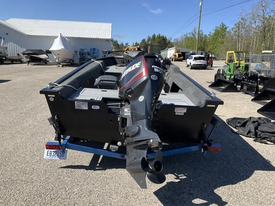USED 2017 STARCRAFT RENEGADE 168