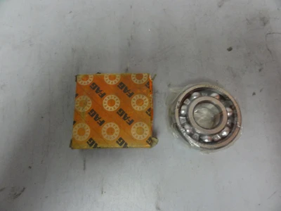 NEW FAG 6304