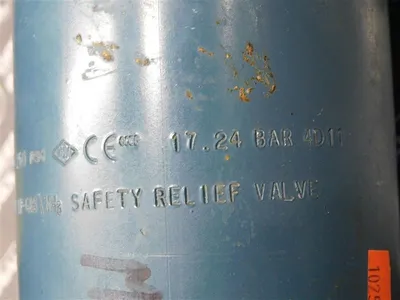 REGO A3149MG External “Pop-Action” Pressure Relief Valves 250 PSIG Used