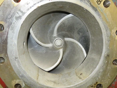 USED Goulds 3175