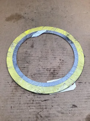 Teadit Spiral Wound Gasket C 8” 300# ASME B16.20 316L/FG 95000089-PPSU159