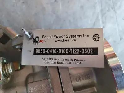 NEW FOSSIL POWER SYSTEMS 9650-0410-0100-1122-0502