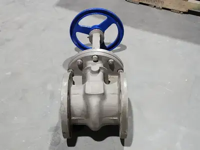 Used DSI VALVES API 603 Valves/Fittings British Columbia CA | Lenmark #914829