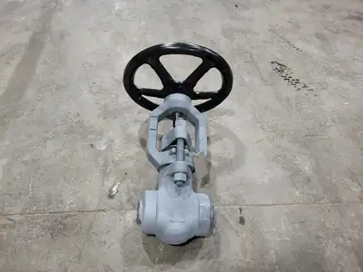 2" Class 900 Globe Valve B16.34