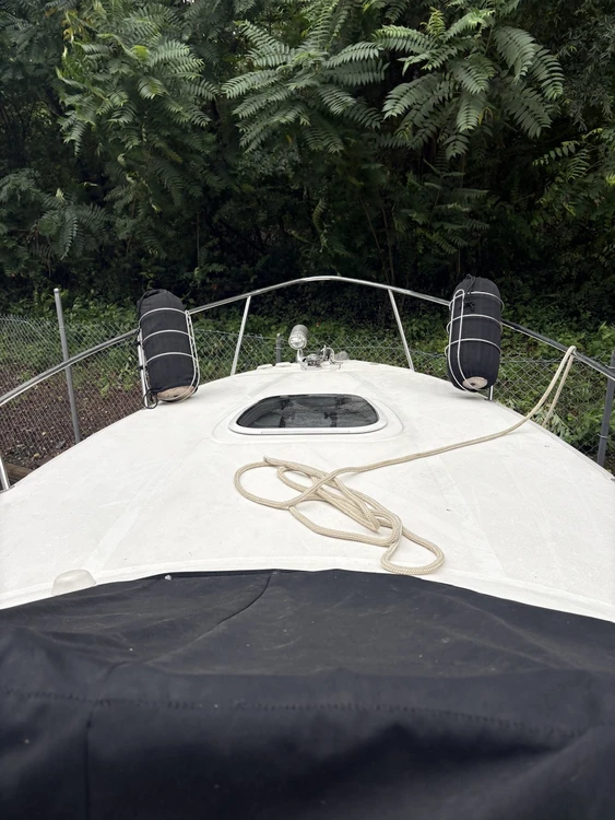 Used 2006 SEA RAY 260 SUNDANCER Boats (Misc) Virginia US | Affordable Outdoors #1638048