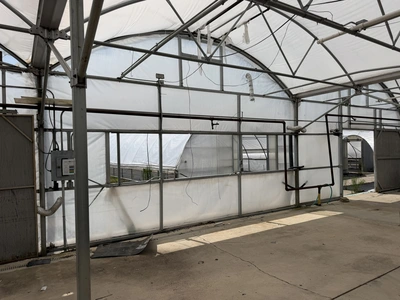 Used _UNKNOWN_ _UNKNOWN_ Greenhouse Equipment Michigan US | Miedema Asset Management Group #1396114