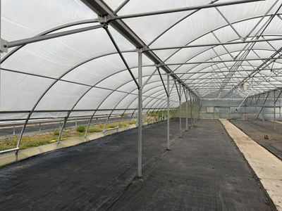 Used _UNKNOWN_ _UNKNOWN_ Greenhouse Equipment Michigan US | Miedema Asset Management Group #1396114