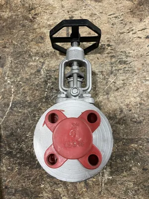 Marck 3/4” Stainless Steel Manual Flanged Gate Valve