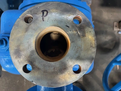 USED Goulds 3796