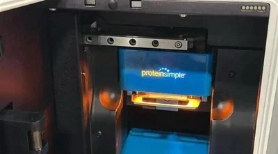 USED PROTEINSIMPLE WES