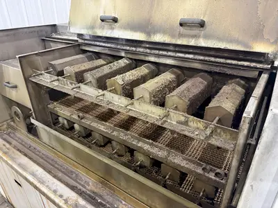 USED RANSOHOFF LEANVEYOR