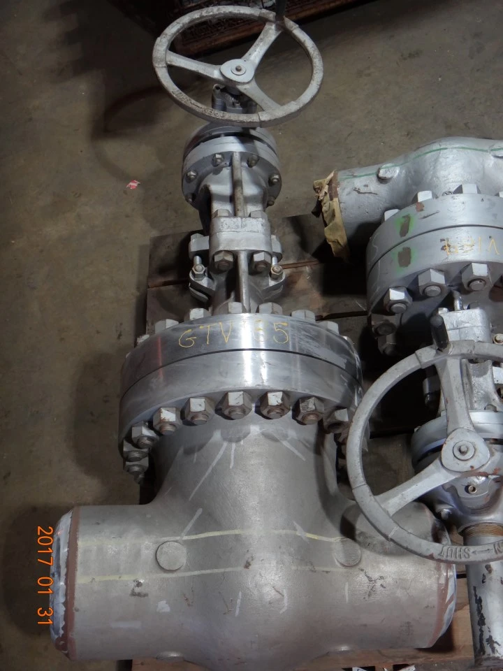 Takamisawa 10", Class 900, SS, Gate Valve