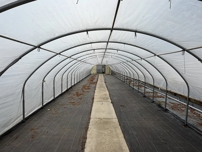 Used _UNKNOWN_ _UNKNOWN_ Greenhouse Equipment Michigan US | Miedema Asset Management Group #1396128