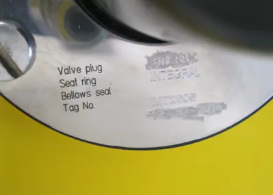 USED Flowserve 191849