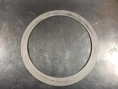 NEW GARLOCK GYLON 3510