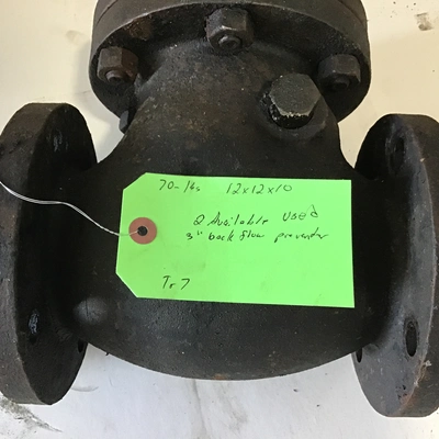 Lunkenheimer 125 SP Swing Check Valve 3″ Backflow Preventer