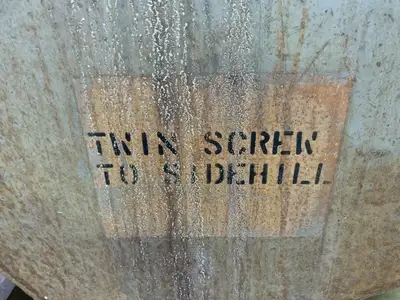 Twin Screw Feeder Conveyor Chip Drainer