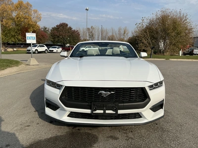 Used 2024 FORD MUSTANG Cars Michigan US | Miedema Asset Management Group #1579884